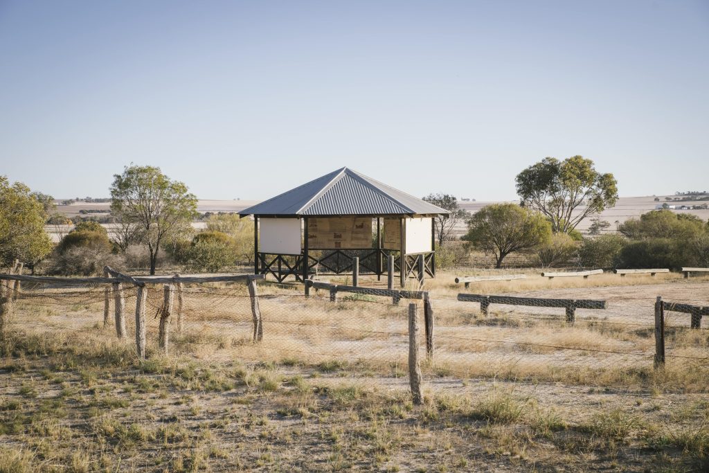 Quairading202134 min Rabbit-proof Fence 3